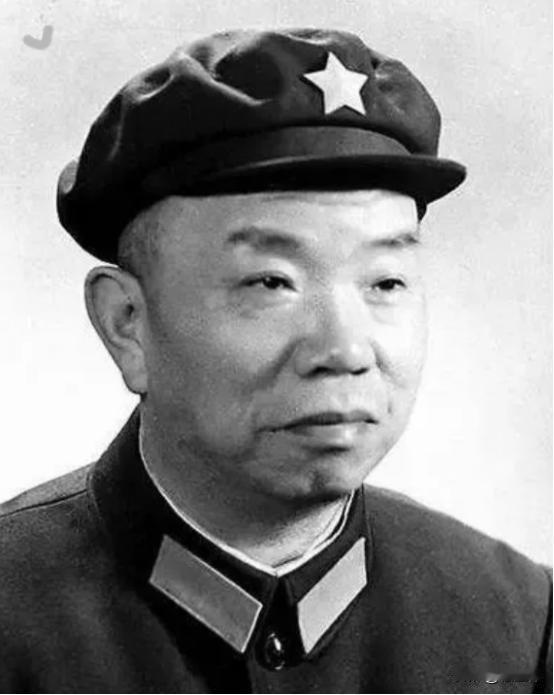 1968年的一个中午，王树声像往常一样拿着饭盒到食堂去打饭。排队的时候，王树声却