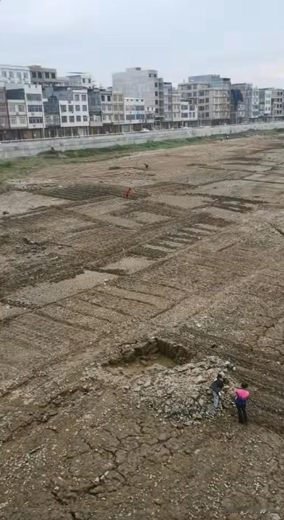 中国人真是勤快！河水退去河岸迅速被开垦成横七竖八的菜园子。[赞]

这条河就是广