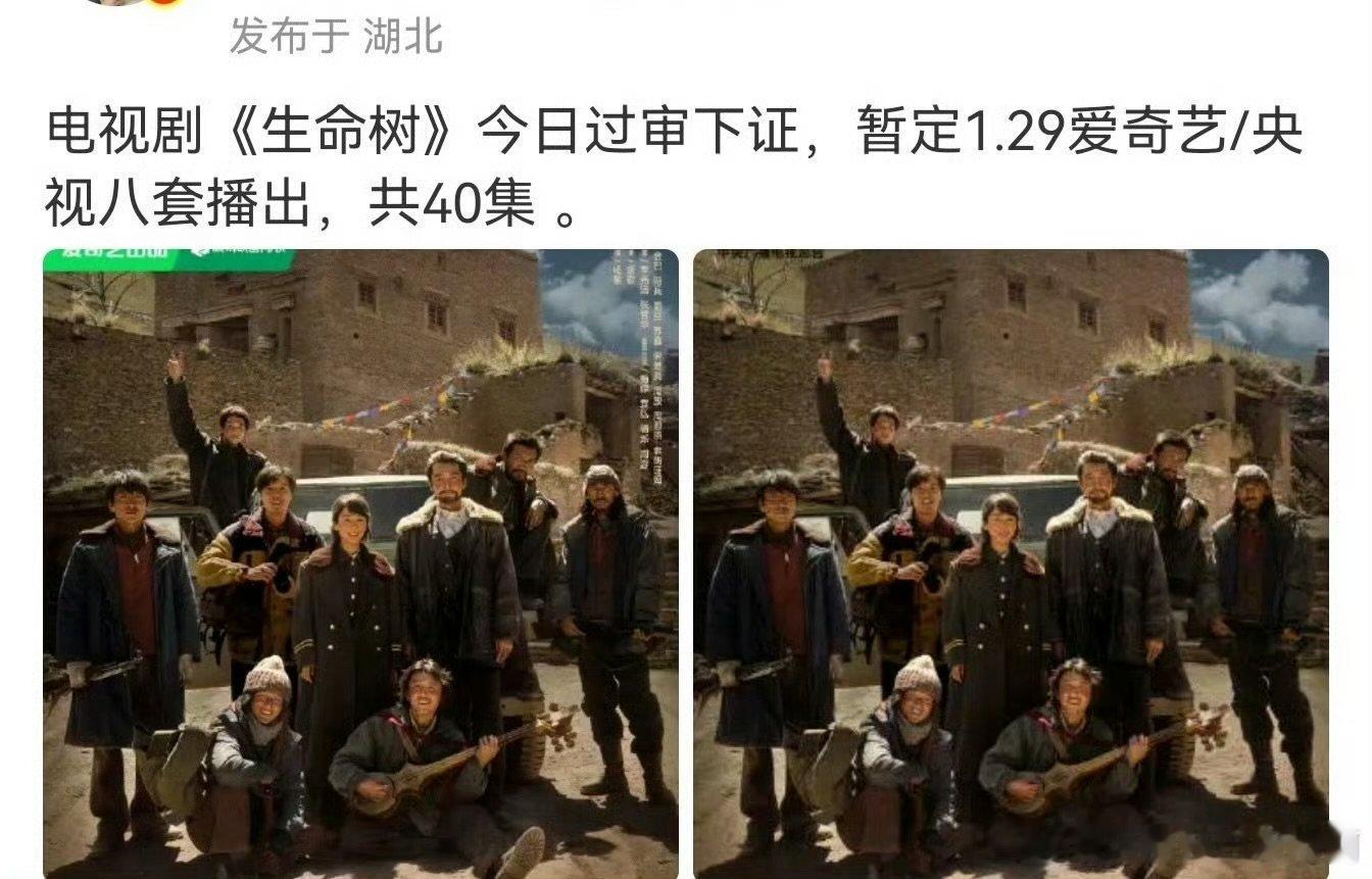 杨紫胡歌生命树过审下证杨紫胡歌生命树过审下证，期待播出 