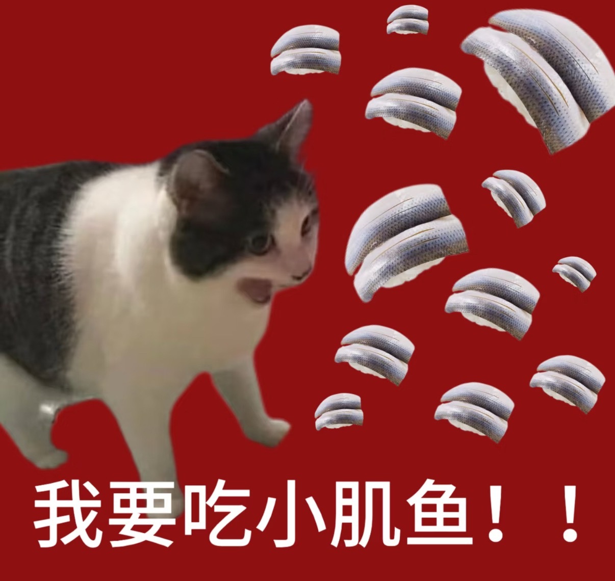 破案了，因为俊凯是小猫，小肌鱼他也会喜欢的王俊凯中餐厅10