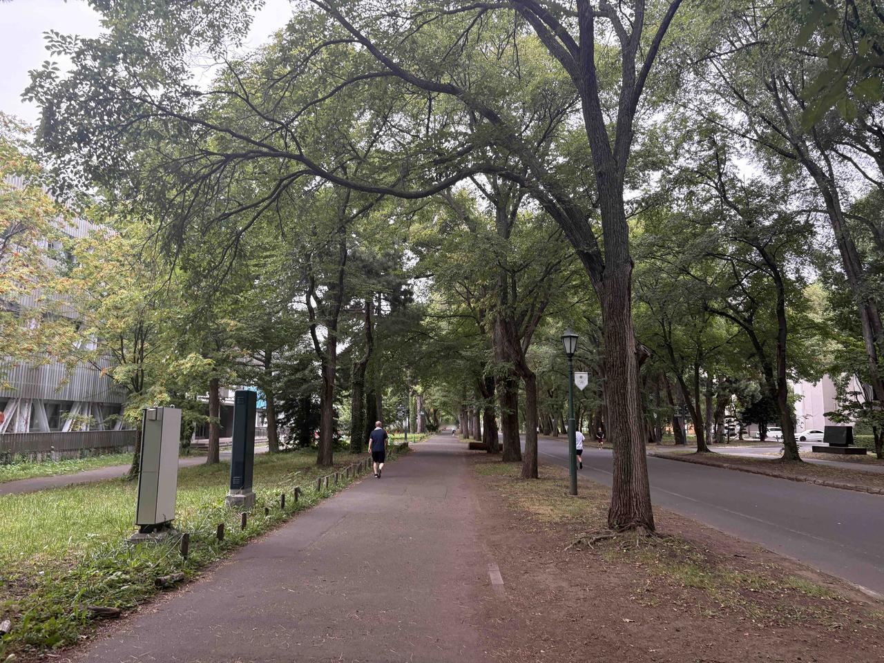 漫步大学校园