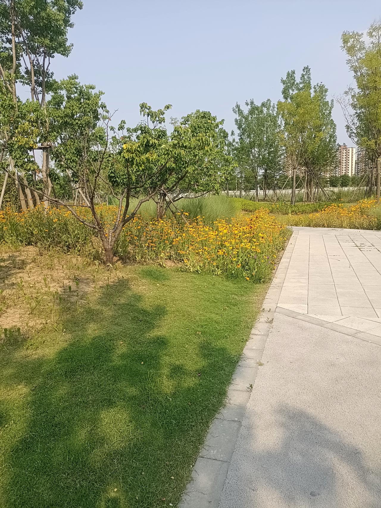 一段非常现实的话：“普通男人跟除了妻子之外的女人，交往叫淫乱。世界首富马斯克跟七