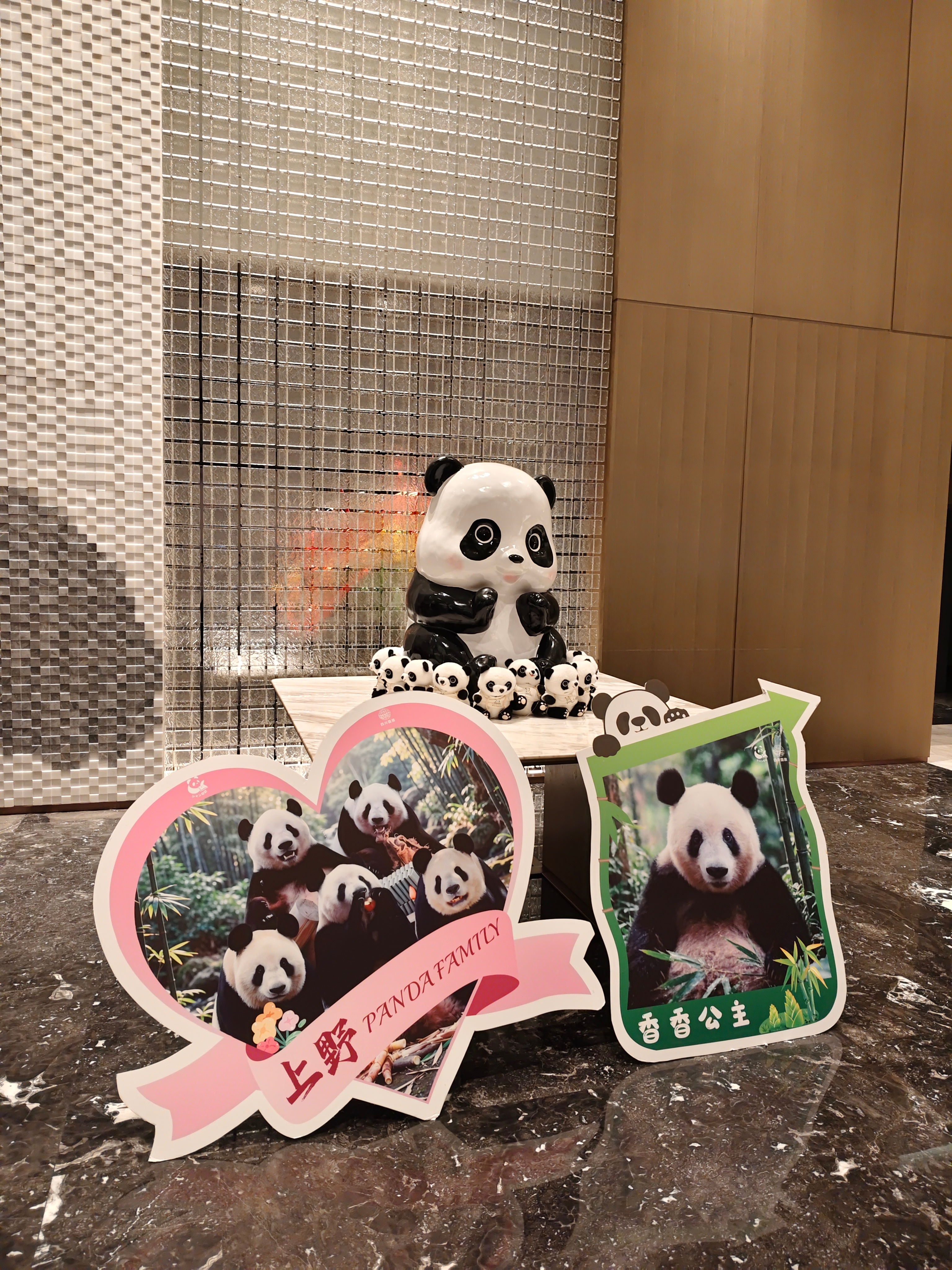 闪现四川！明天去川西看雪山🏔️过几天再回来看熊猫🐼 第一次来川西，应该不会高