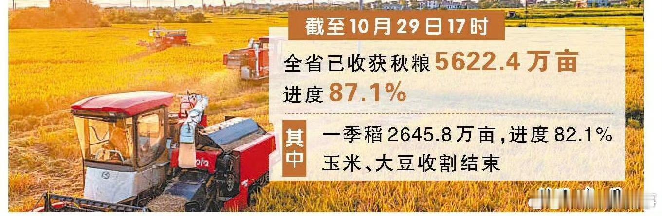 【#安徽全省秋粮收获进度超八成#】秋粮是全年粮食生产的大头，当前我省秋收秋种工作