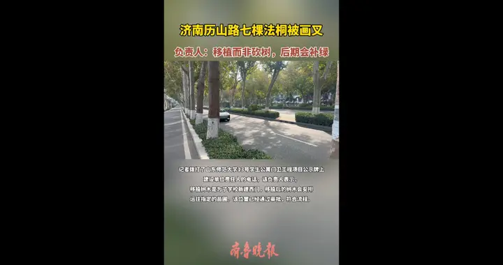 果然视频｜历山路上七棵法桐被画叉？相关部门：移植而非砍伐
