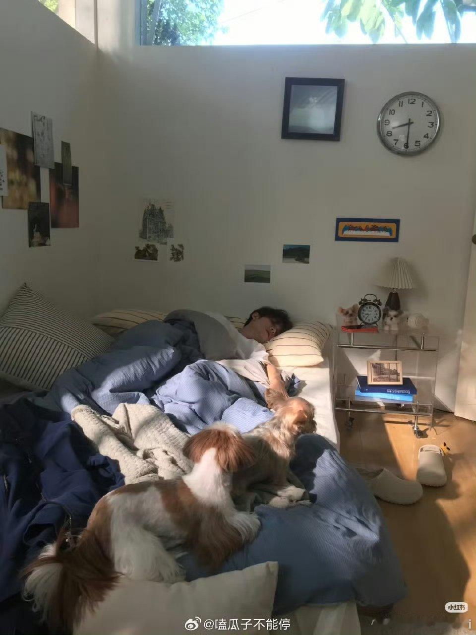 檀健次日常营业来了，慵懒风的日常，好会拍照啊哥哥 