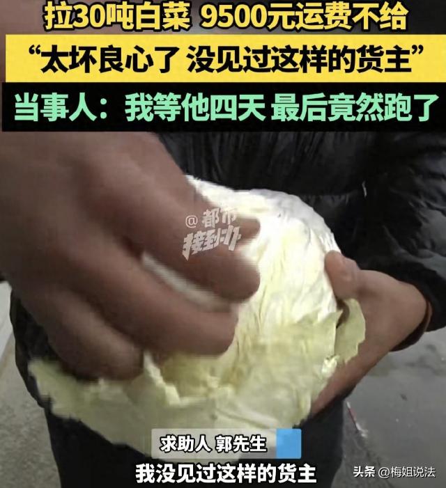 “太气人了！”内蒙巴彦淖尔，货车司机郭某，连夜帮人拉30多吨大白菜到开封，货主承