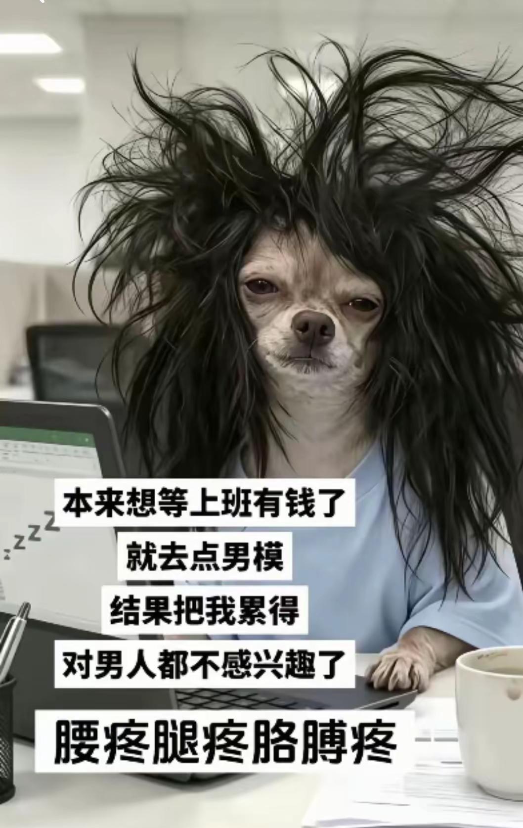 本来想等上班有钱了就去点男模，结果上班累得对男人都不感兴趣，腰疼腿疼胳膊疼。转头