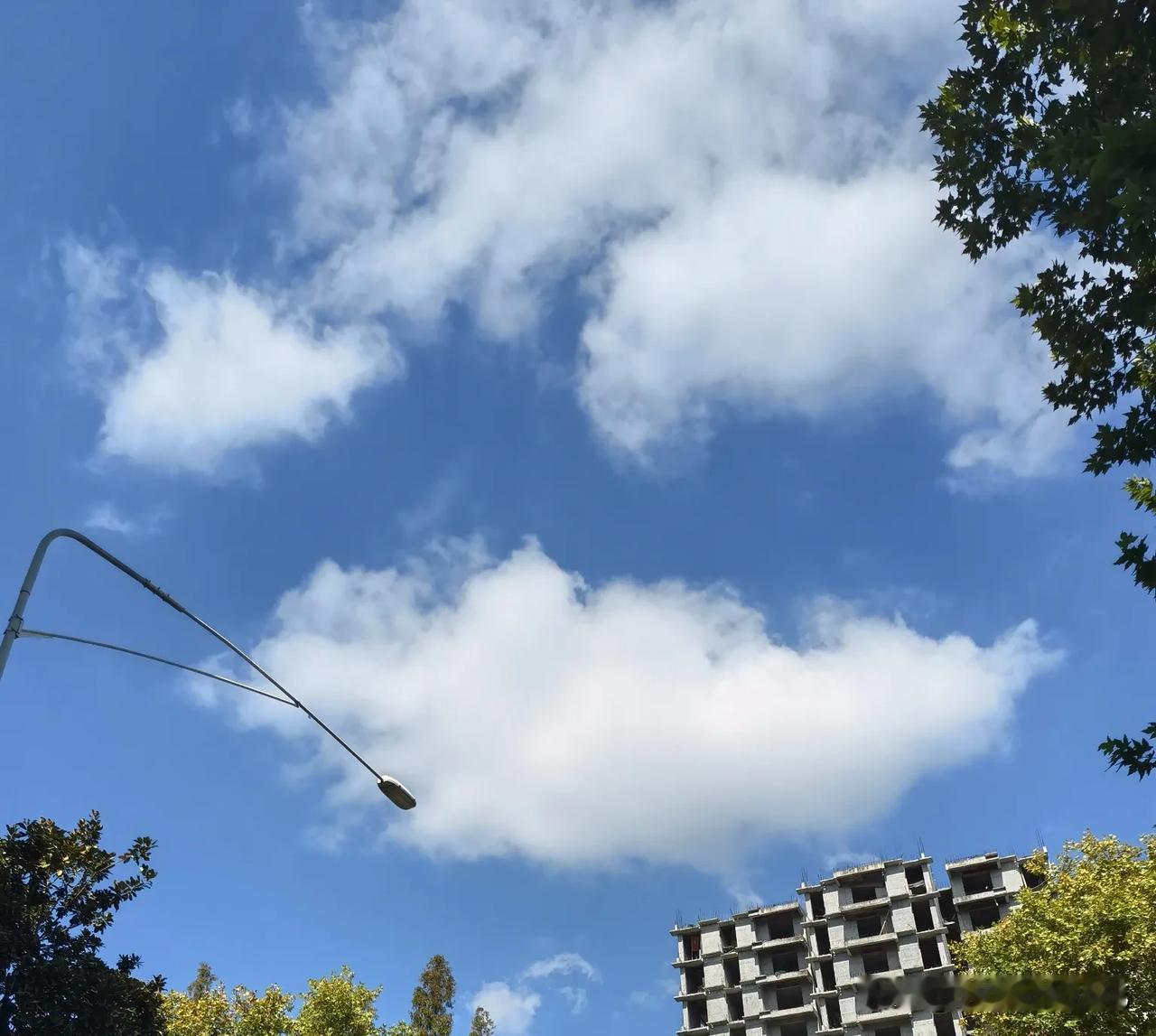 昨天的大晴天，今天的秋风和落叶🍂，襄阳的秋天格外精彩～