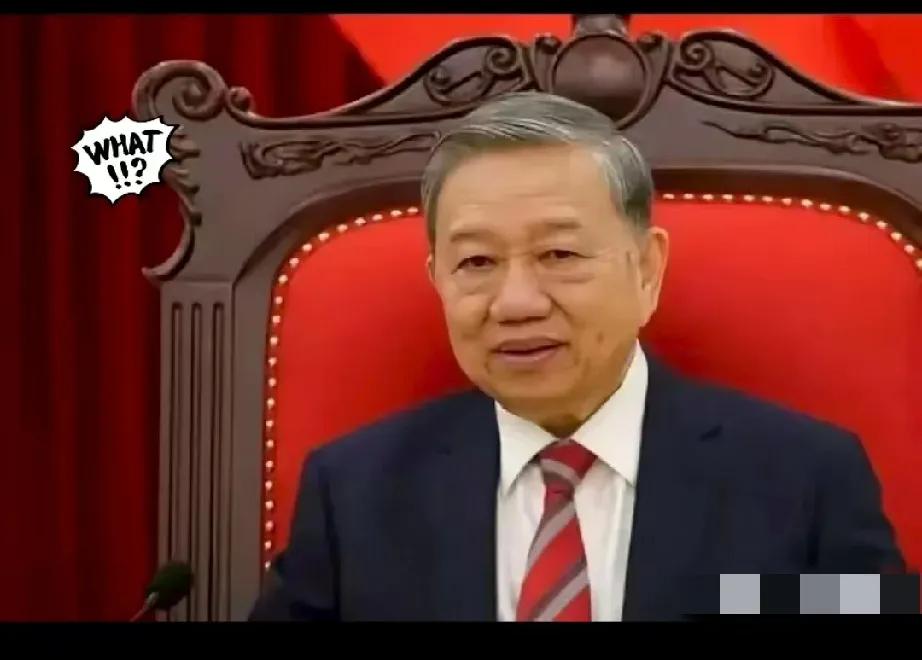 越南外交部发言人范秋姮发表声明！声明中表示：越南拥有充分的历史证据和法律依据，可