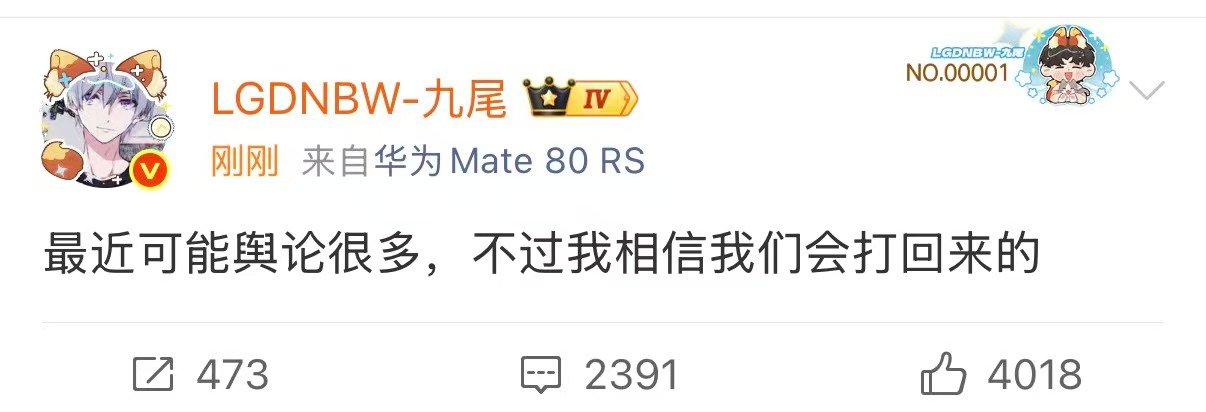 九尾相信我们会打回来的九尾最近舆论很多 永远相信你！ ​​​