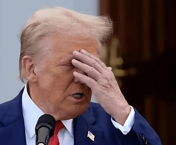 特朗普或许也没有想到！本以为中国会在中日对峙中毫不犹豫的对着日本出手，却是没想到