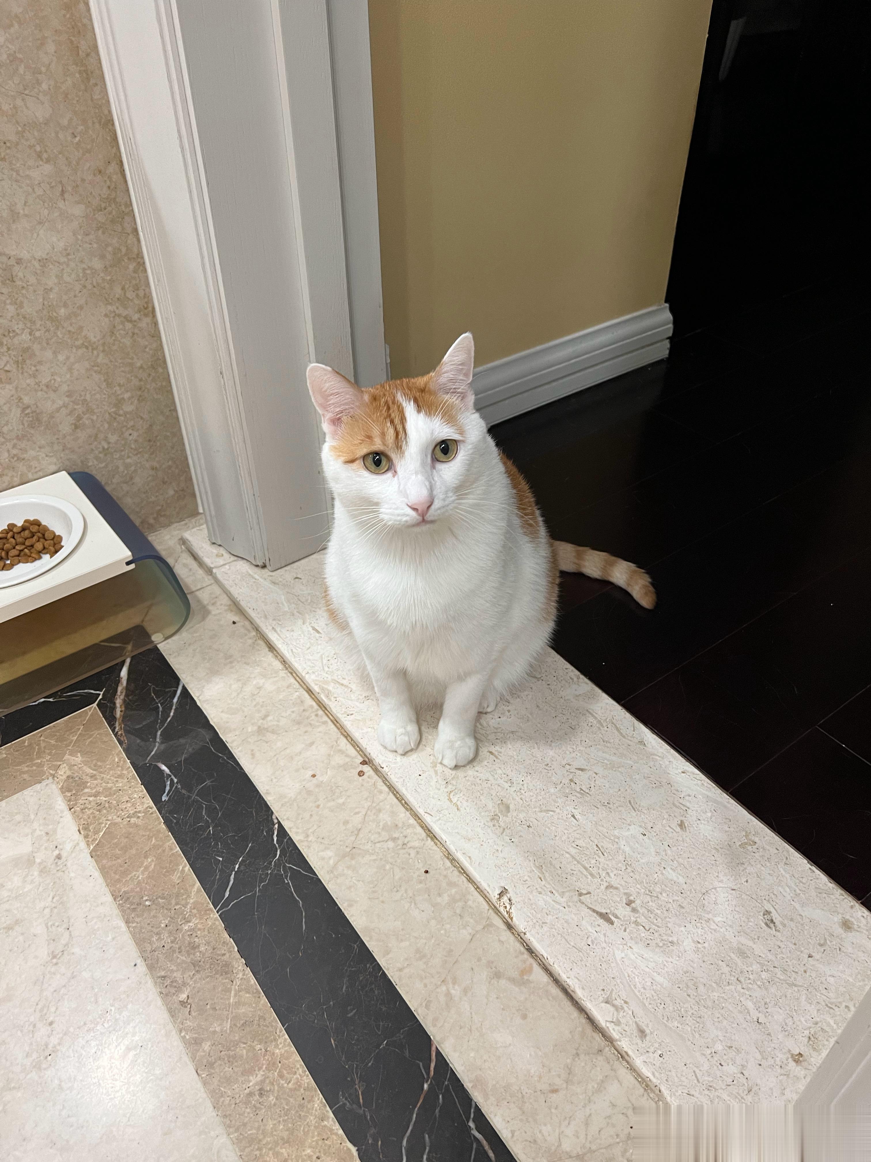 早早早！猴猴问我：“夫人你早上想吃点什么？”哎哟，太好了，有我猴猴在就是好，咖啡