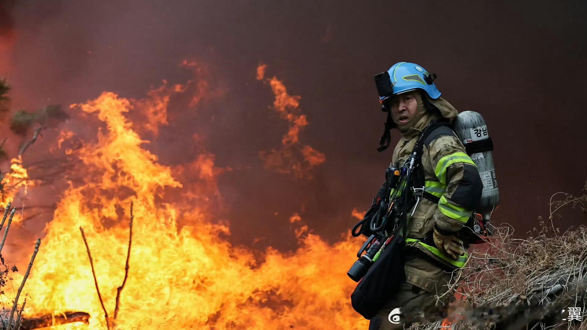 是不是有点像雷大头 