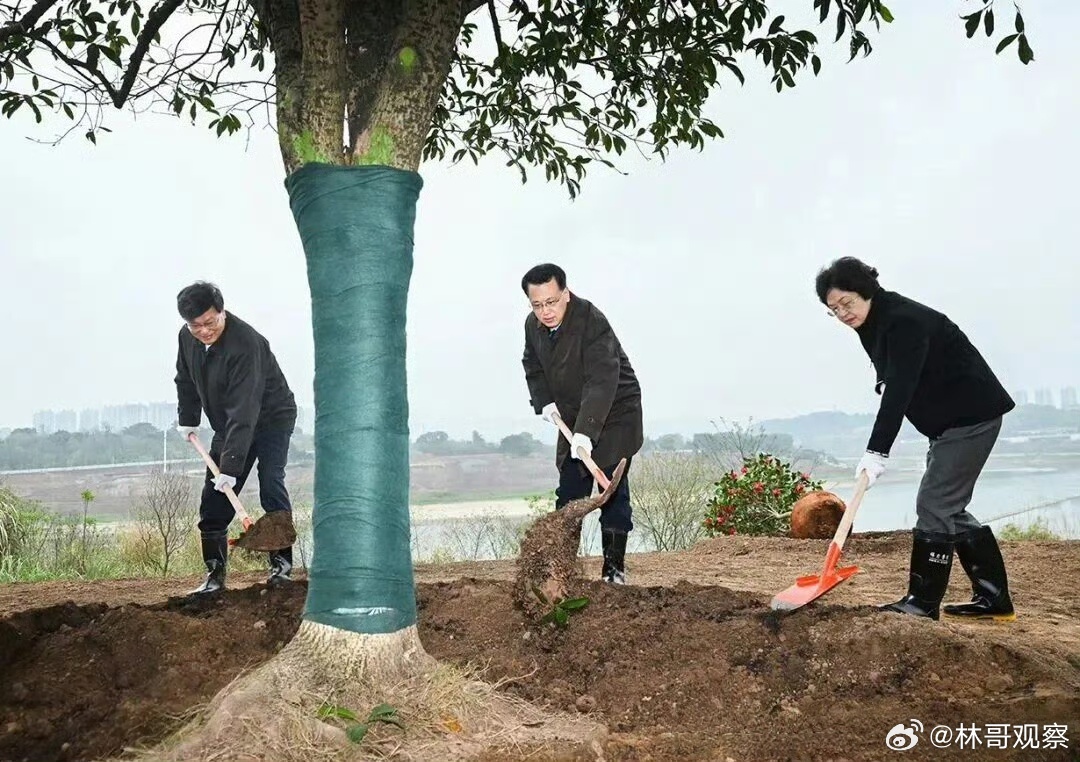 重庆市长胡衡华被查前几天植树节没出现，就猜到了，果然是他