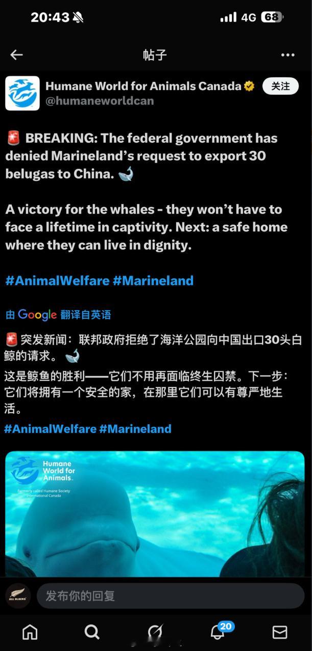a股 为什么欧洲、加拿大的的ai产业那么落后？因为把保护隐私，保护生态放在第一位