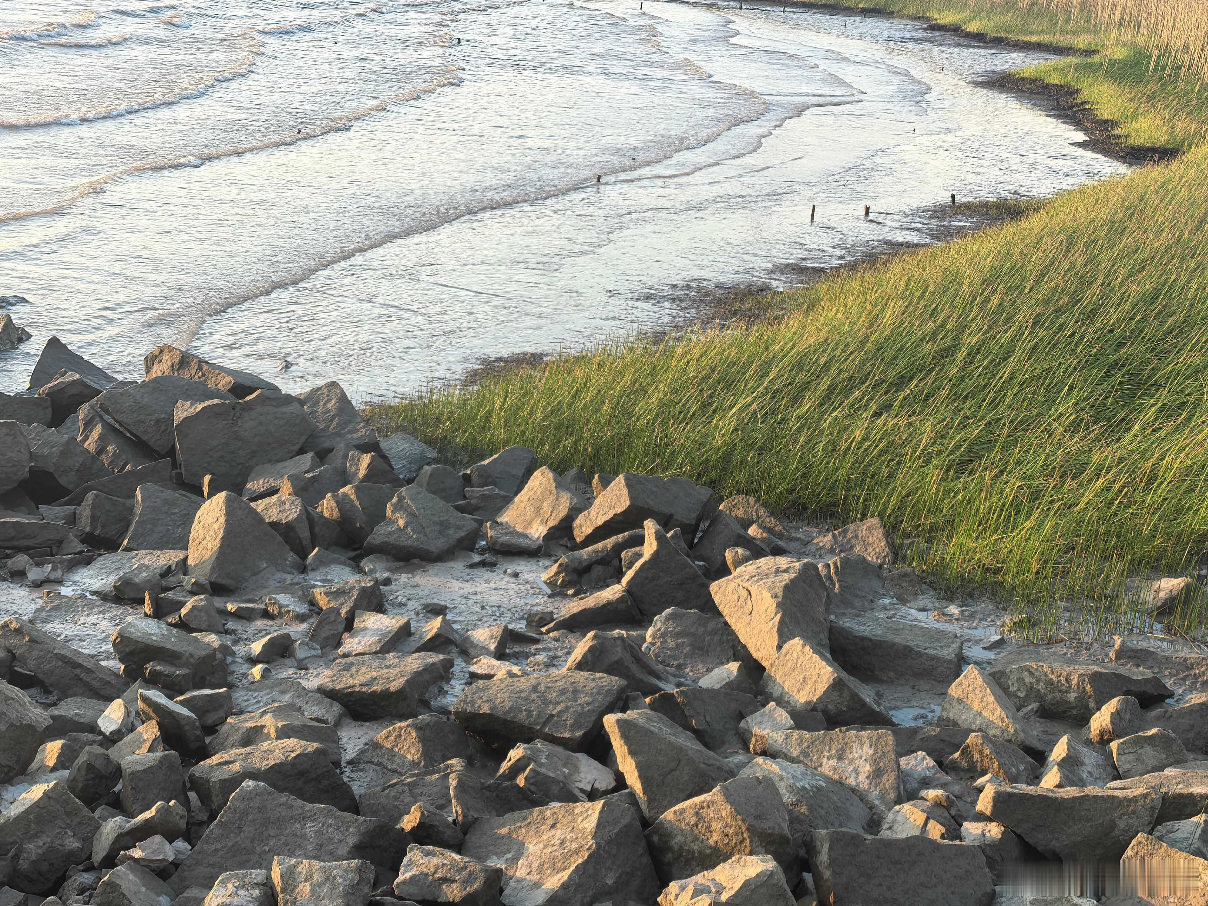 如果在上海，冷的刺骨，但是不干燥；如果在北京，供暖不冷了，干的要死。人类好脆弱啊