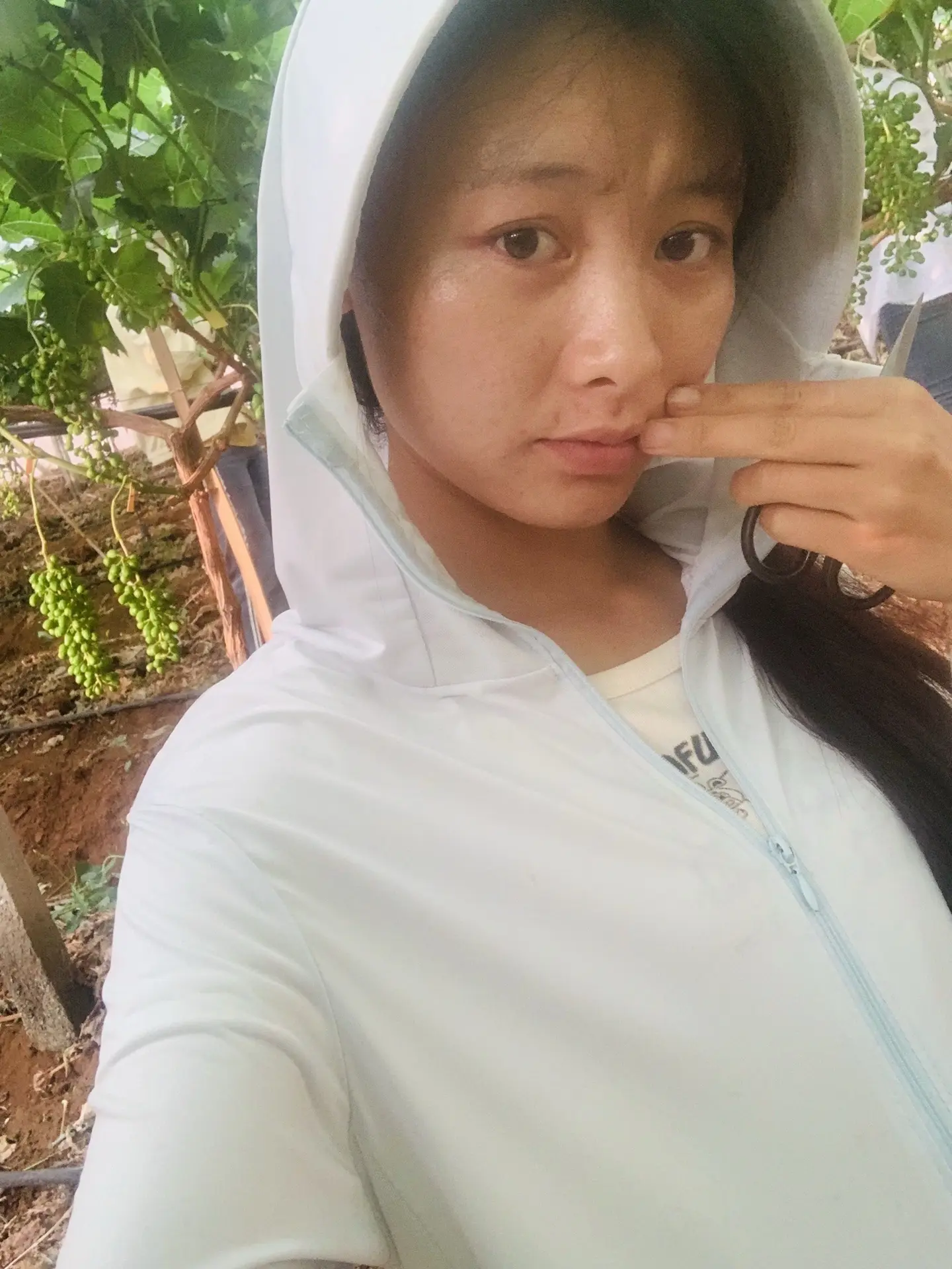 硕果累累 我的田园生活 原相机，不要忙着结婚好好呢苦两块钱先着