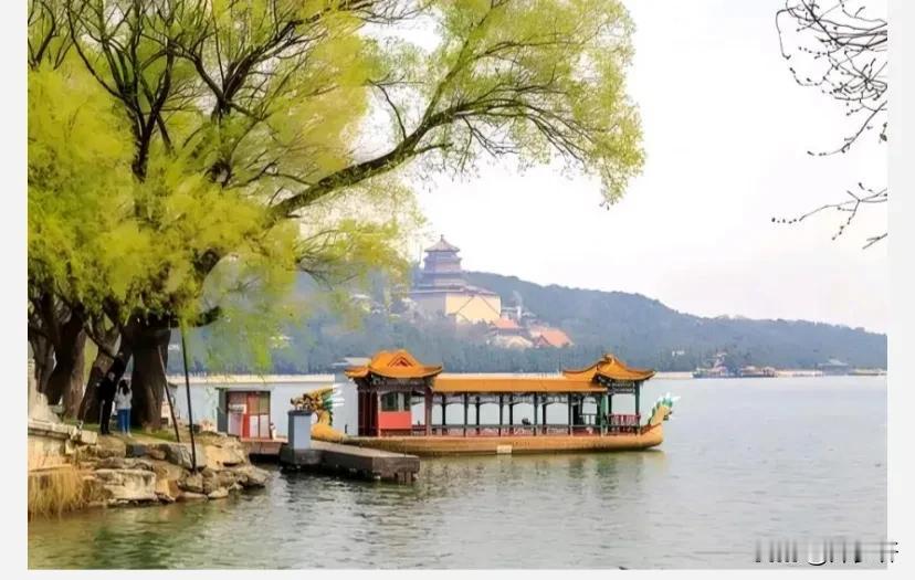 七绝.夏收夏种观感
怡然居士
烟里机轮方撒欢，金涛稍憩易青澜。
老槐默默村头立，