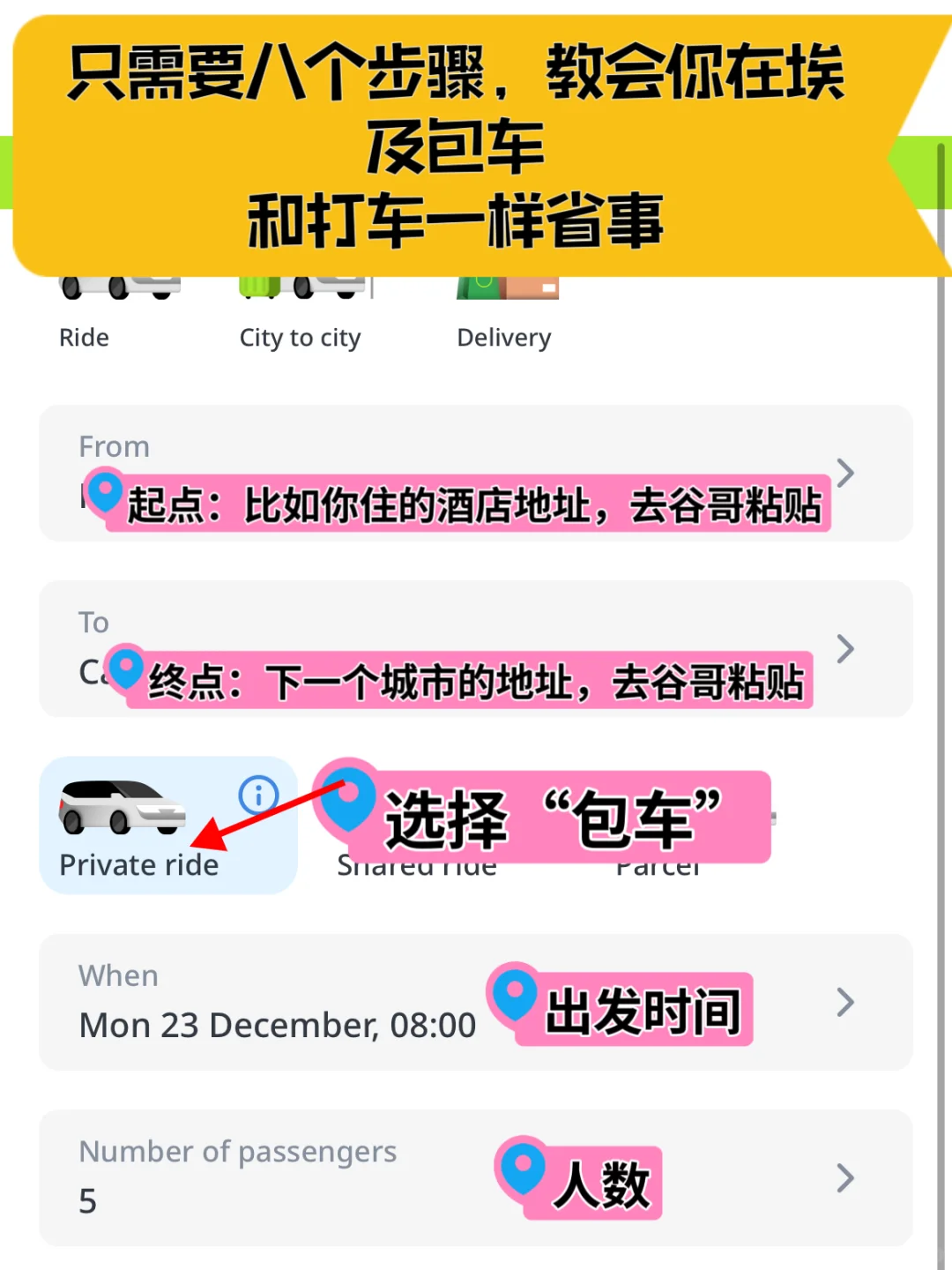 你还以为埃及包车多么难么，和打车一样省事