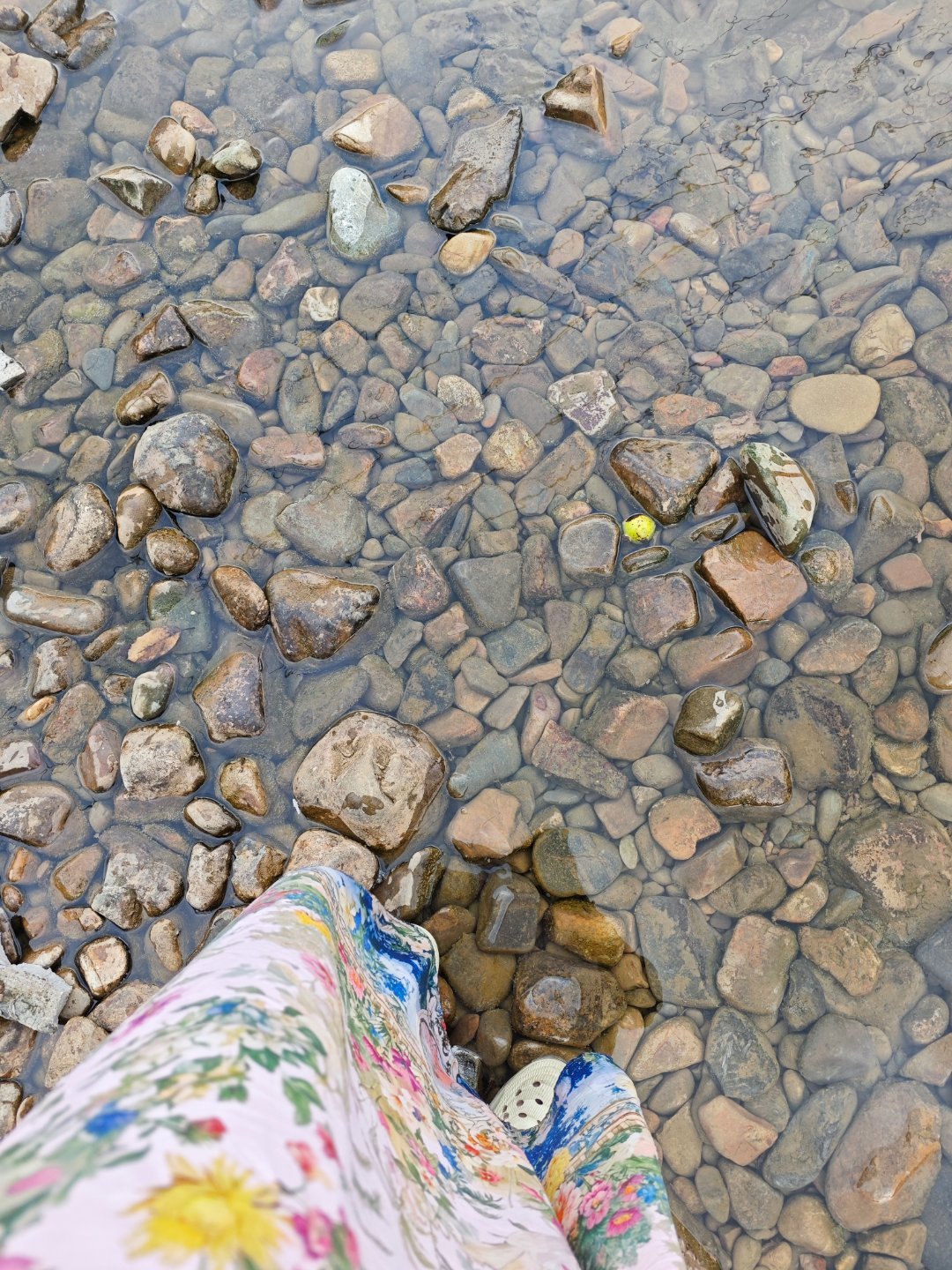 我湿透的裙子