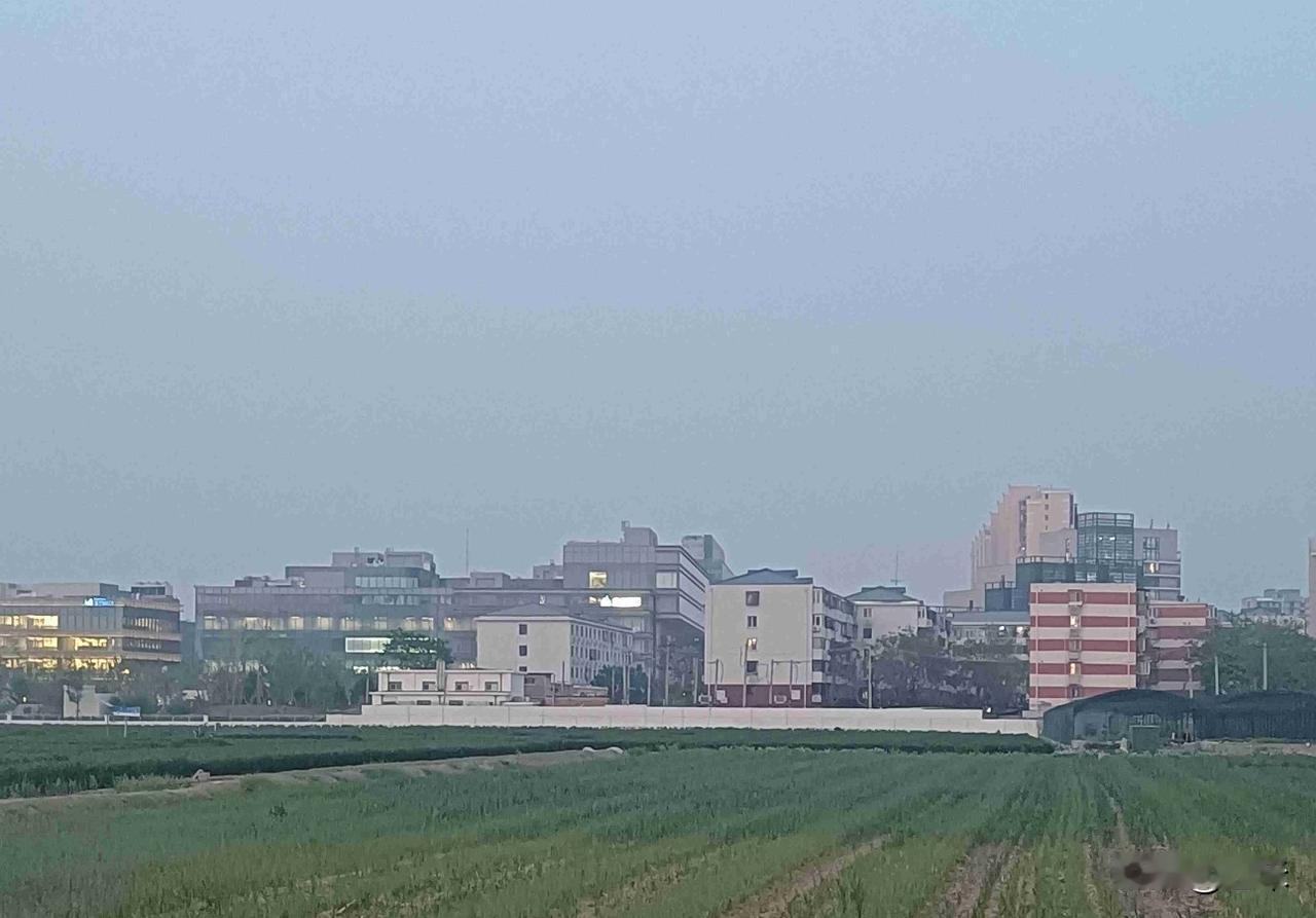 今天是5月12日，星期二，我们这里多云，最高气温零上20度，最低气温零上12度，