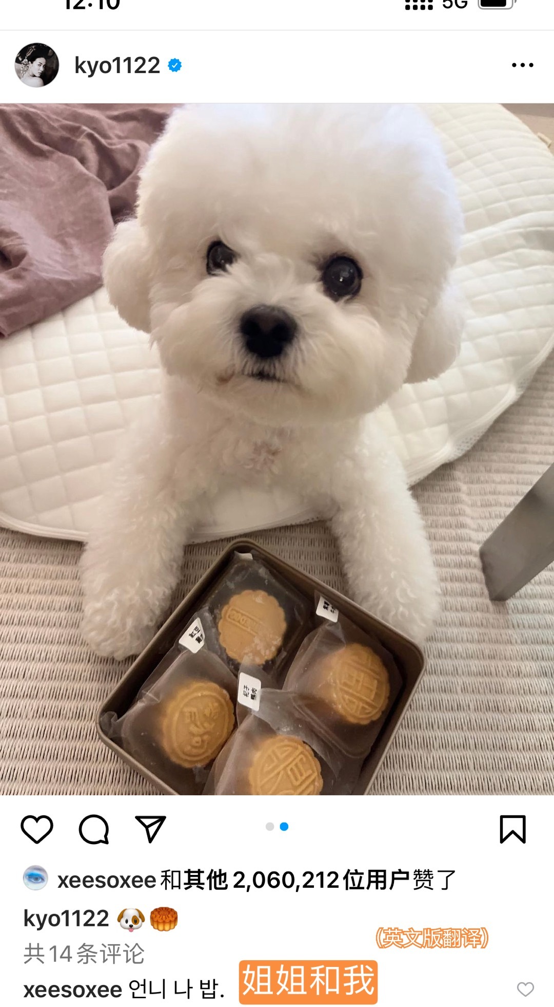 与小狗抢食😧😧😧我尊受不了了……… ​​​