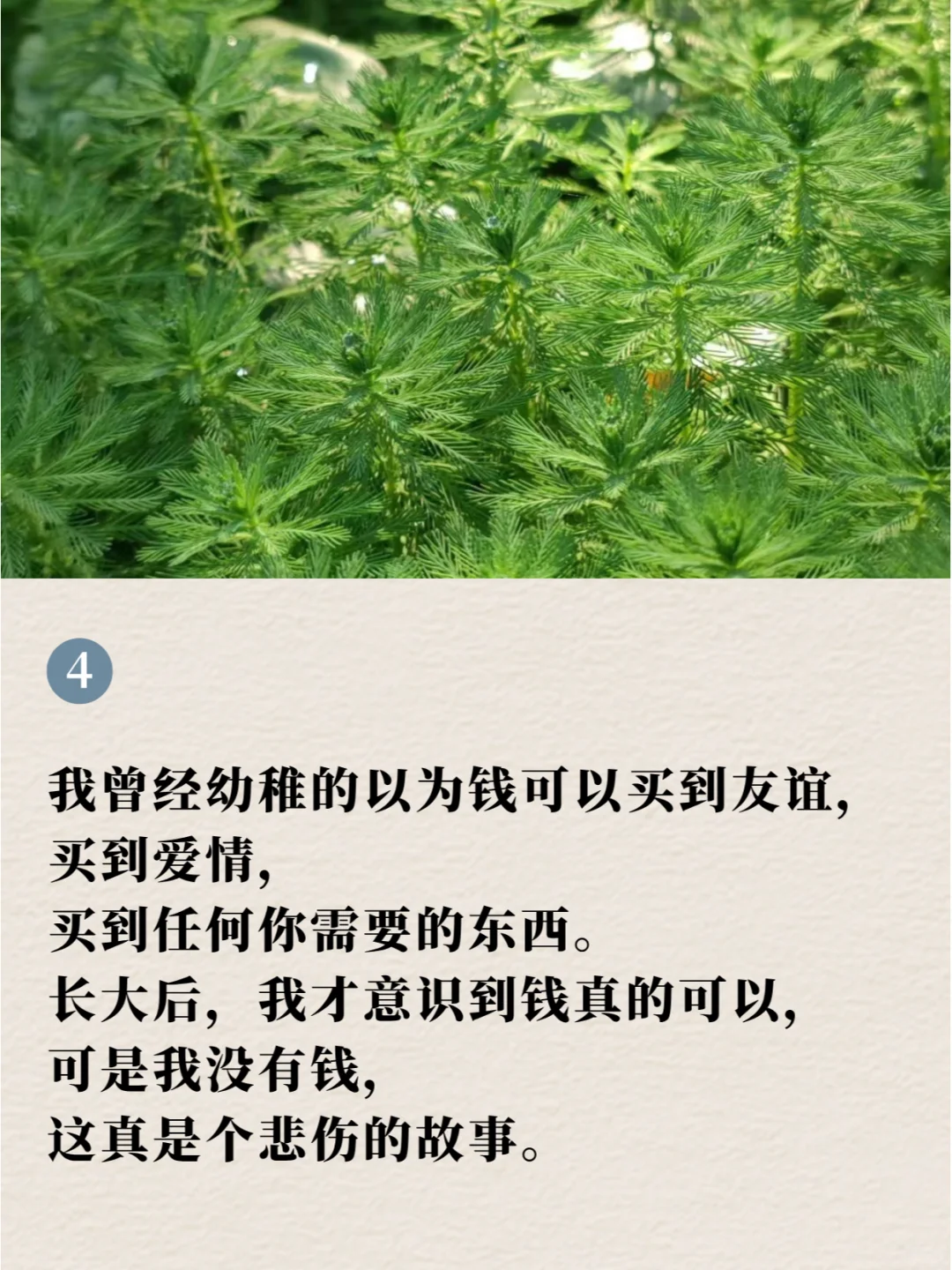 😄令人捧腹、可笑一年的搞笑梗盘点！