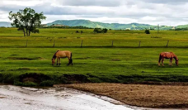 六十岁女人，内心其实特别脆弱，很多人以为她们啥都不缺了，孩子大了，日子稳了，结果