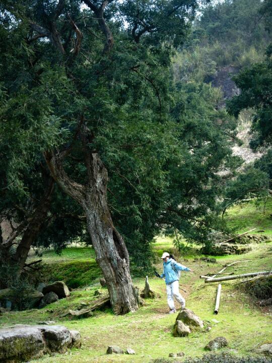 谁懂啊❗️走马岗才是春天最有能量的徒步路线