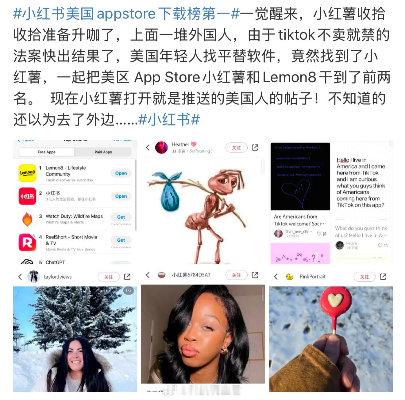 小红书美国appstore下载榜第一 我是不是应该来一波广告啊，只能说同名没有变