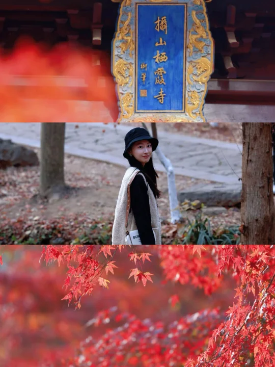 🌟攻略｜南京一入秋，就美成金陵（含租车羊毛