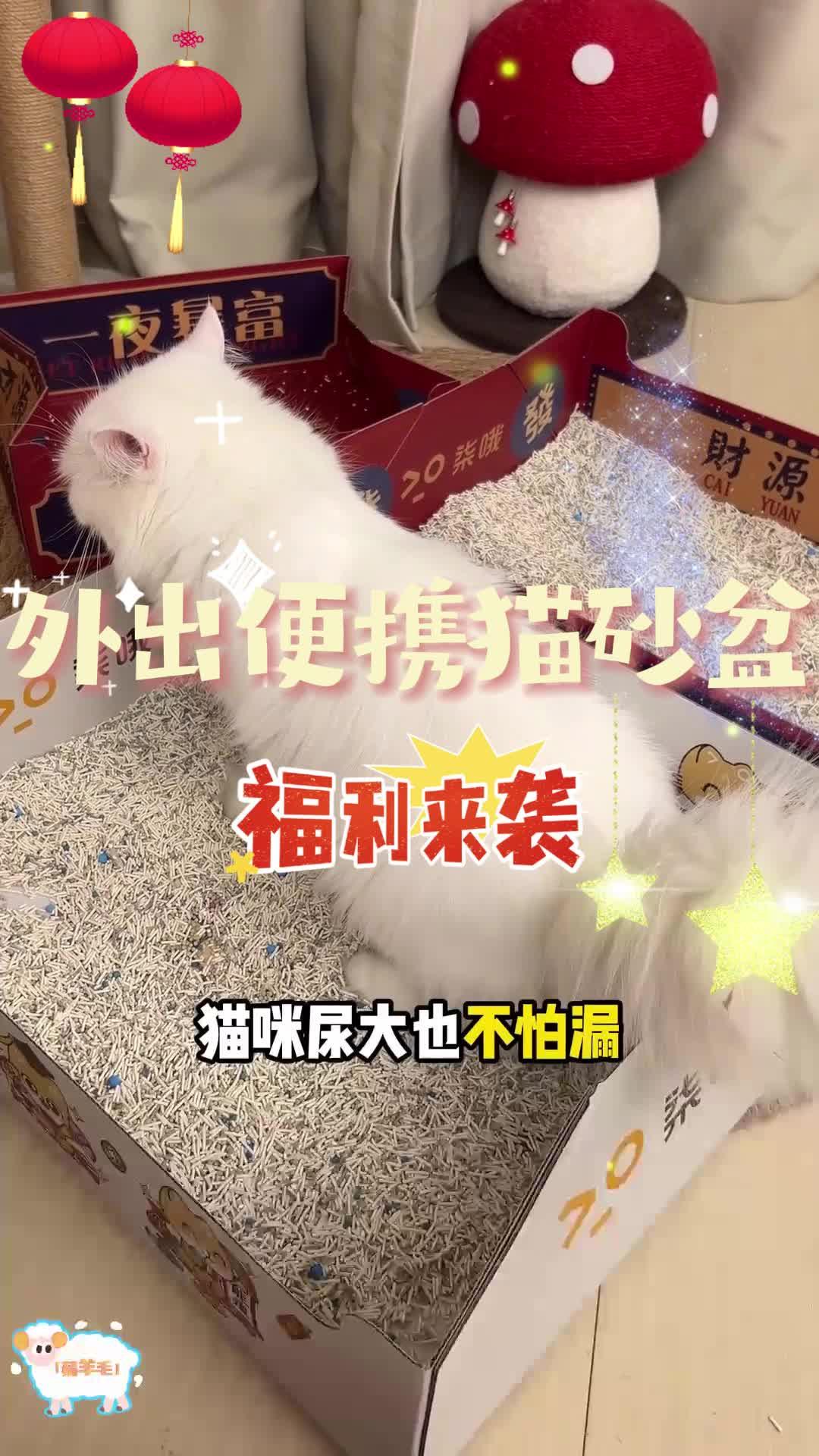 这种便宜又实用的折叠猫砂盆，春节前可以提前给猫咪备上啦