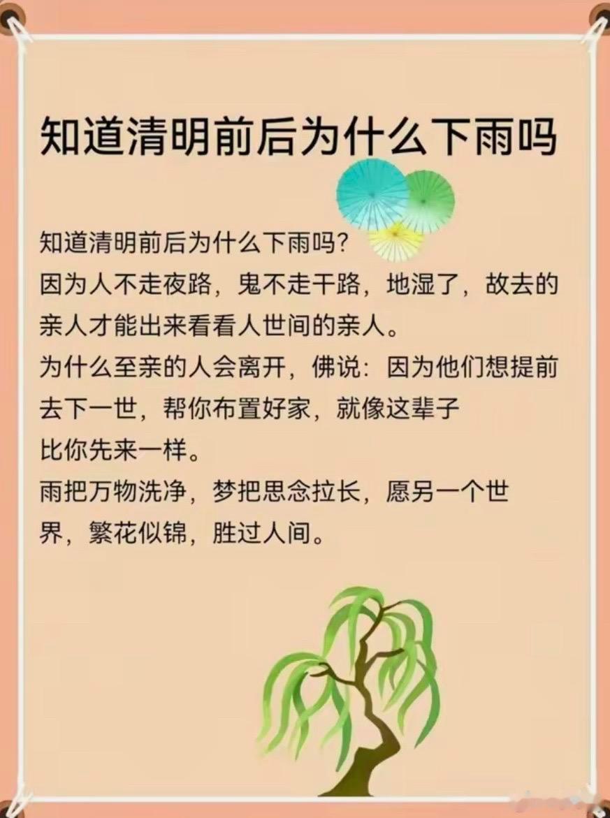 雨把万物洗净 梦把思念拉长 愿另一个世界的繁花似锦 胜过人间#清明节# ​​​