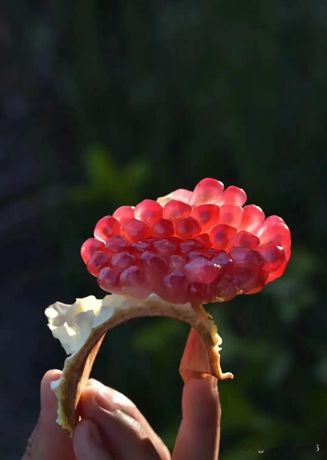 仓央嘉措说过：一个人需要隐藏多少秘密，才能巧妙地度过一生， 这佛光闪闪的高原 ，