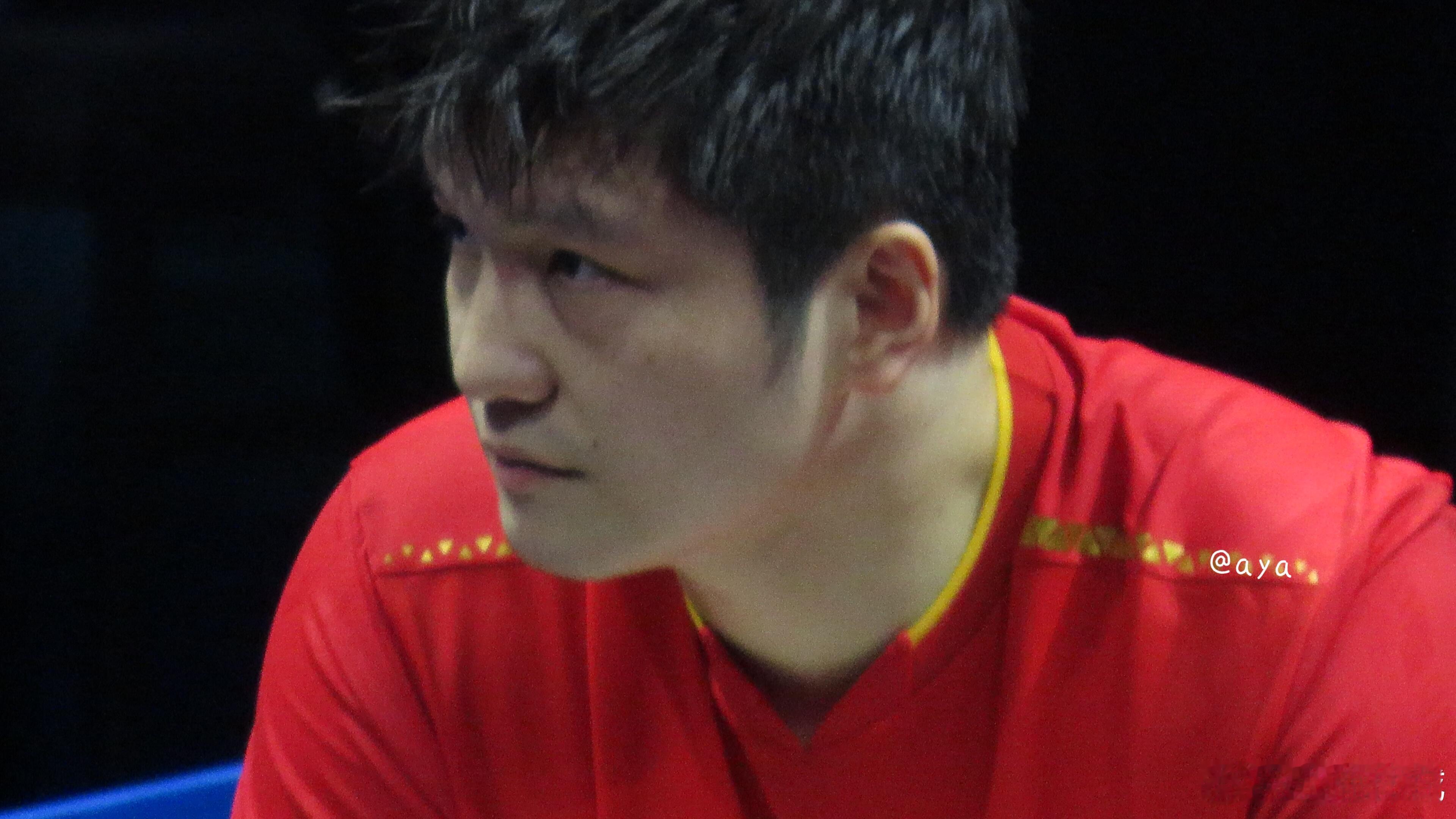 🐼樊振东加油！加油樊振东！ 