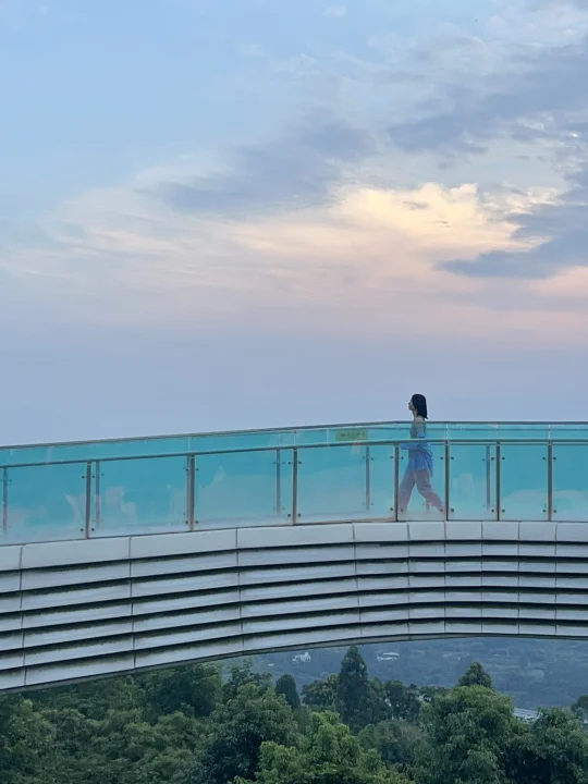 成都的公园已经是Next Level 了！