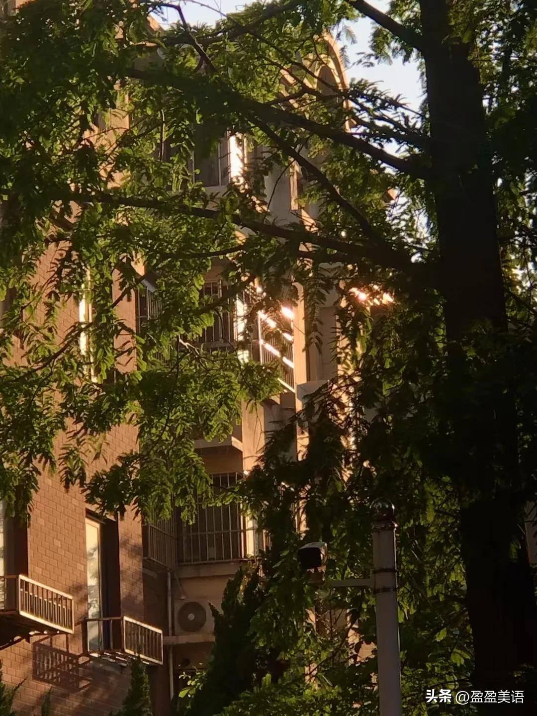 少年的意气风发
少年的沉稳执着
少年的激情
少年的梦想
铁棒磨成针不是故事
是事