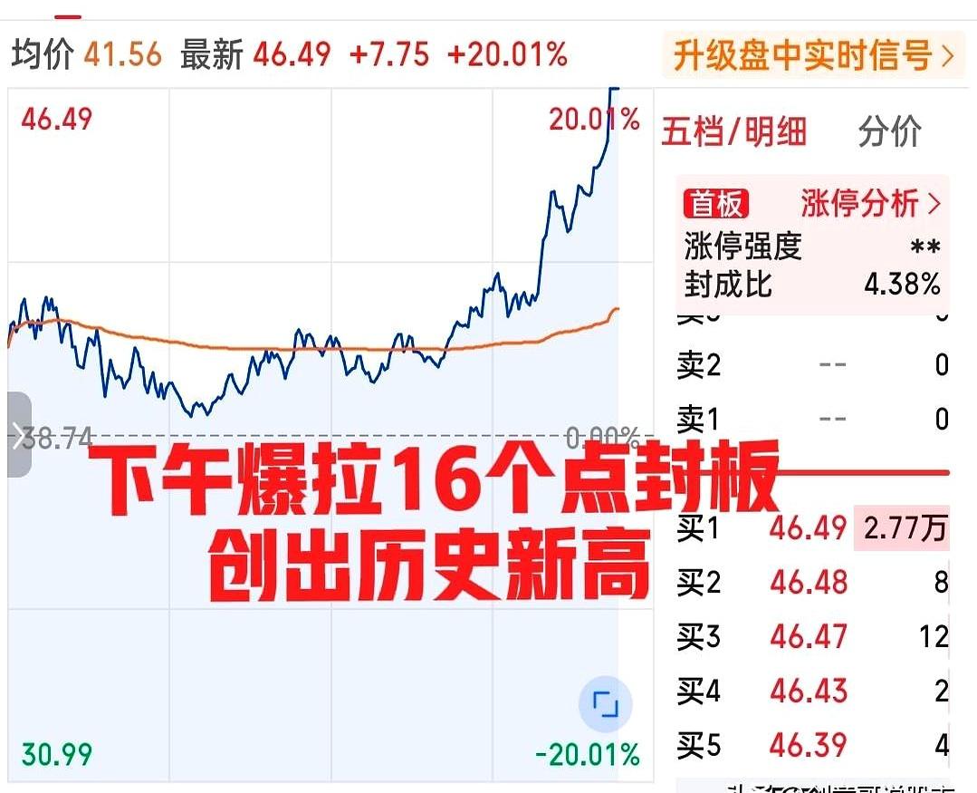上午还在被板块“垂直下坠”吓得心里一紧，下午就直接翻脸拉升，这种行情谁看了不说一