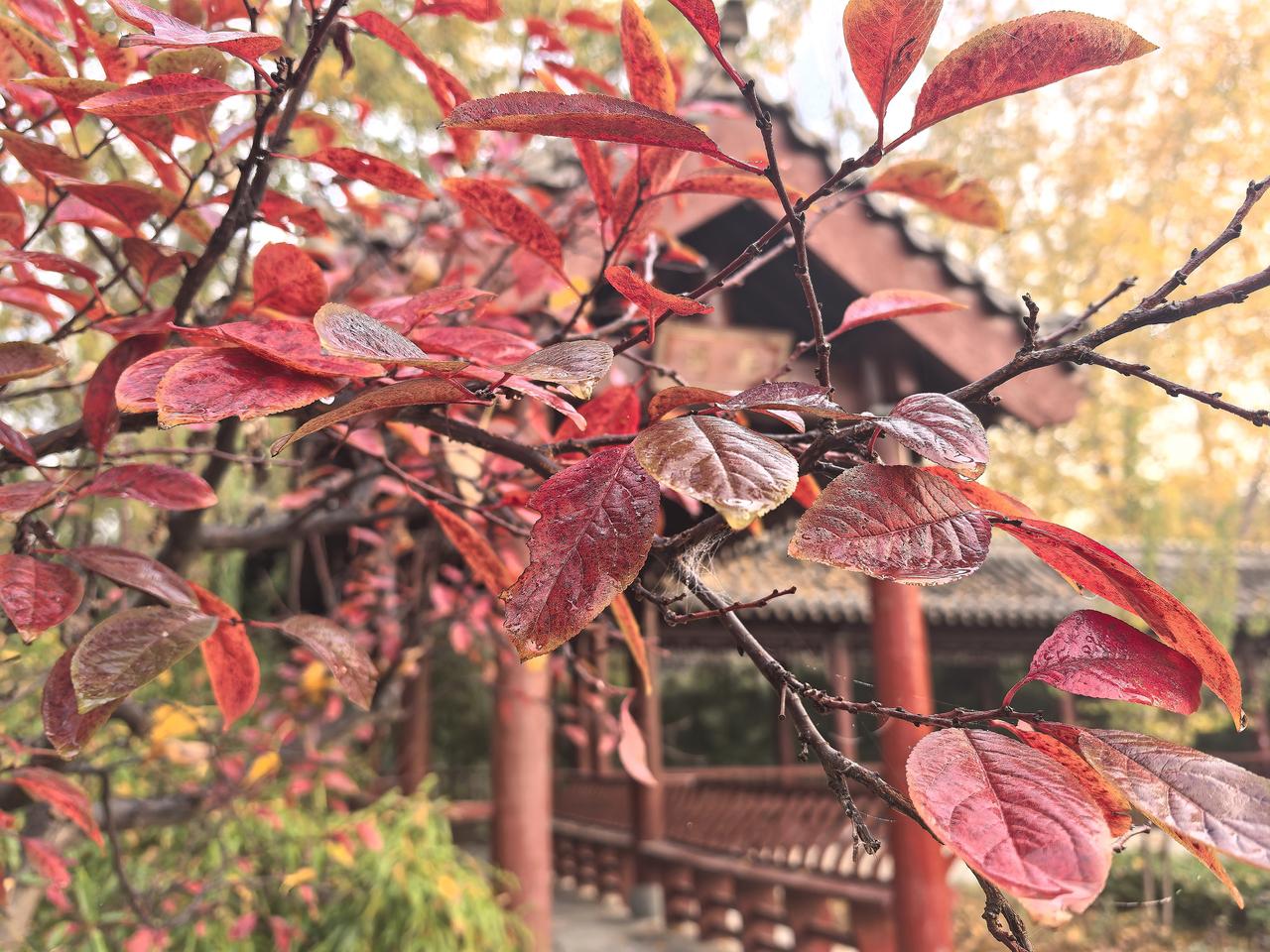 冬日生活打卡季