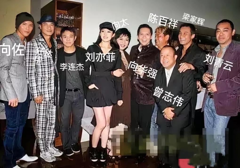 众星捧月哇，这么多大佬在，刘亦菲站 C 位，哪个新人在这些人跟前敢安安稳稳的站 