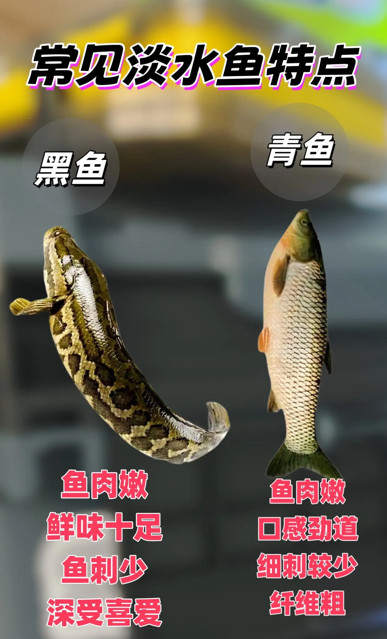 常见淡水鱼的特征。了解鱼的习性更好作钓爆扣