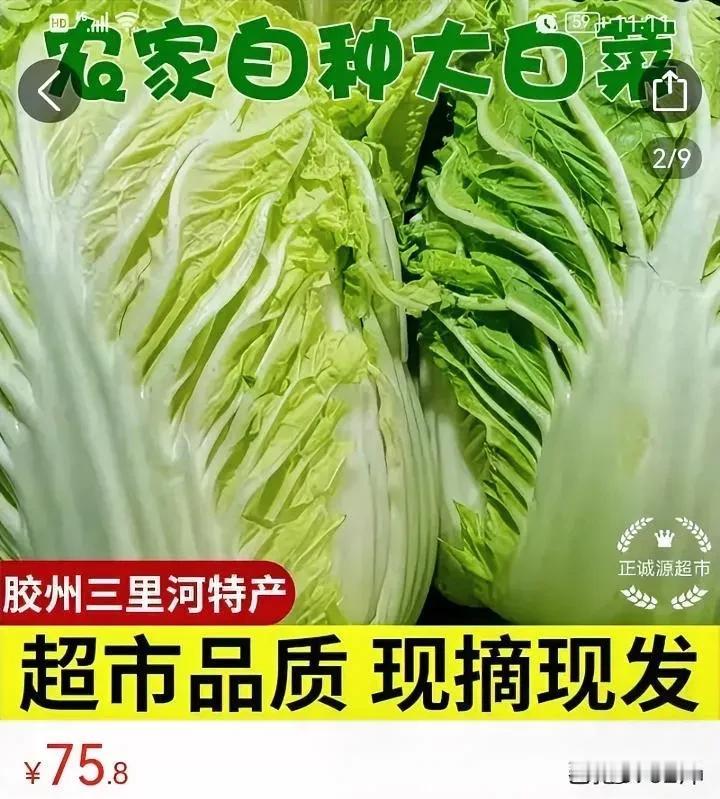 万万没想到
竟然还有155元一颗的大白菜，
就算这大白菜是有机的，成本高，也不至