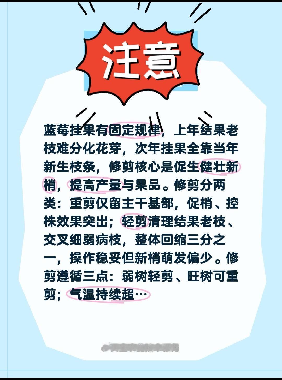 蓝莓不修剪不结果吗？我评论了@天宝农业技术服务 的作品：
蓝莓挂果有固定规律，上