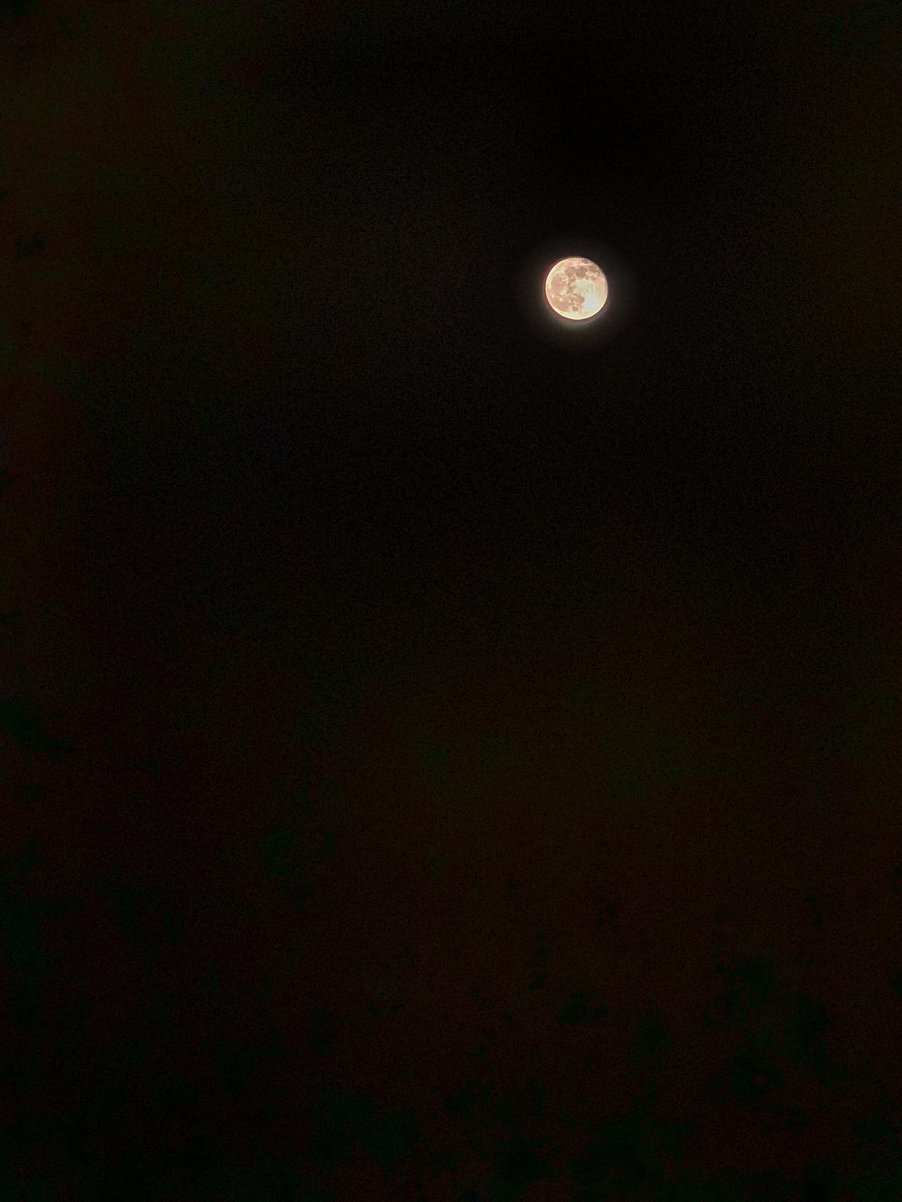 不得不说，华为手机拍香炉湾的沙滩配上这轮刚刚过去的中秋明月真的太香了～～～