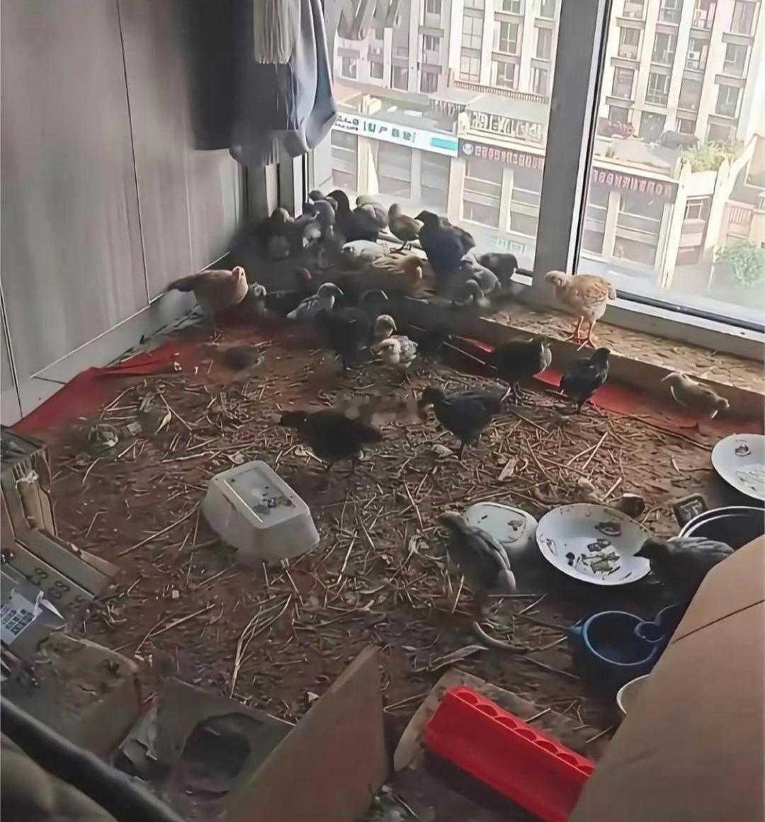 乡下的丈母娘住我家半年，一间小卧室就变成这样了 