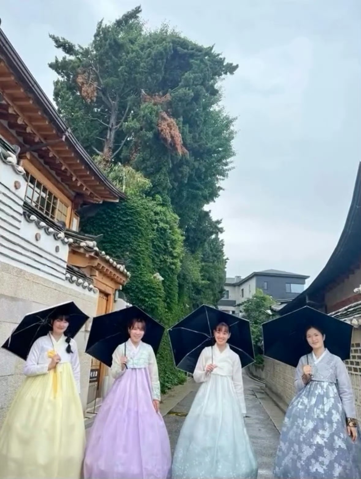 5576【木下四美·女团设定】（求轻喷美宇 平野飓风，创下最年轻solo一位记录