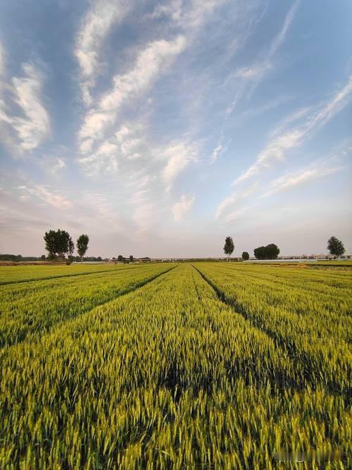 我是搞石油测井的，在我们的曲线里，多深的地层都有地下水，少则几十米，深到几千米都