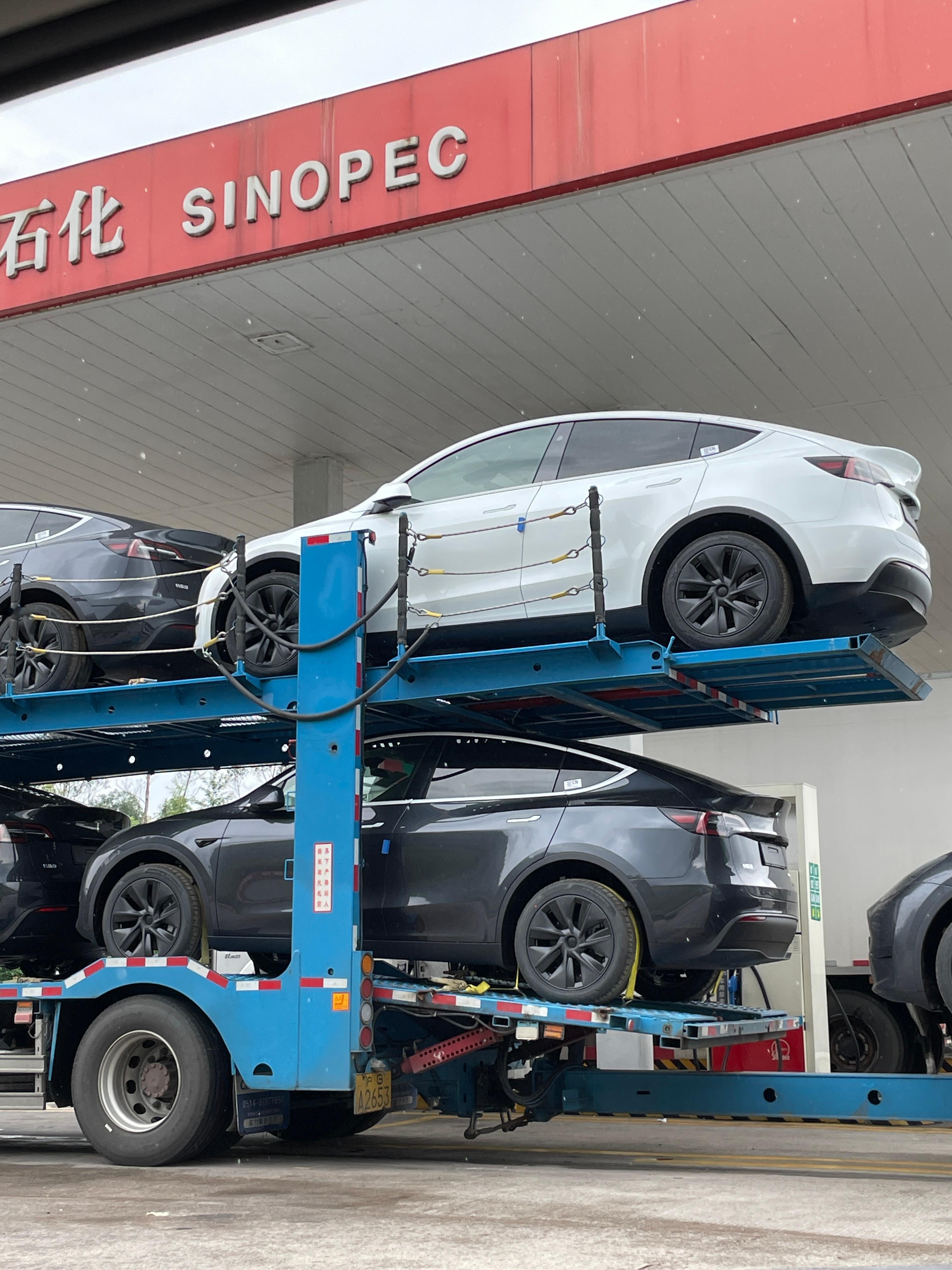 一板车的特斯拉Model Y，一拖车的牛，还有一车的挖机，极限三选一怎么选？[d