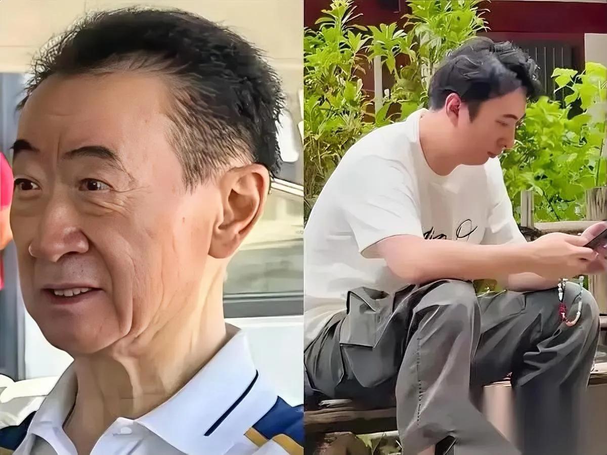王健林父子咋了？

王思聪微博停更三年！

曾经的万达风光无限，2017年却开始